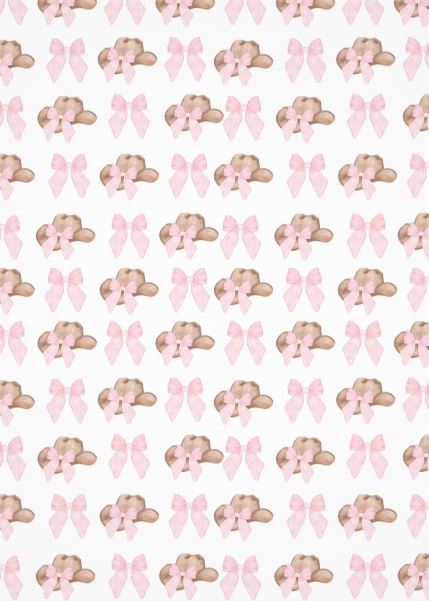 Cookie Backers - Double sided - A LITTLE COWGIRL IS ON HER WAY